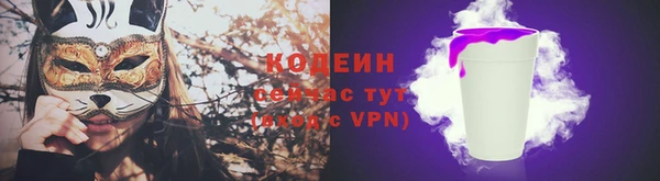 мет Инсар