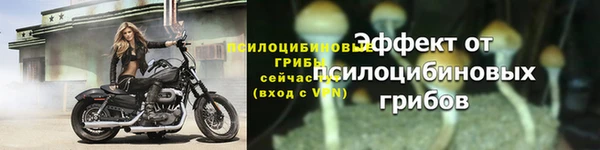 прущая мука Инта