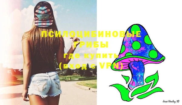 мет Инсар