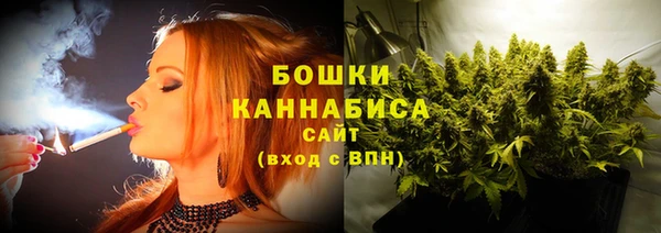 прущая мука Инта
